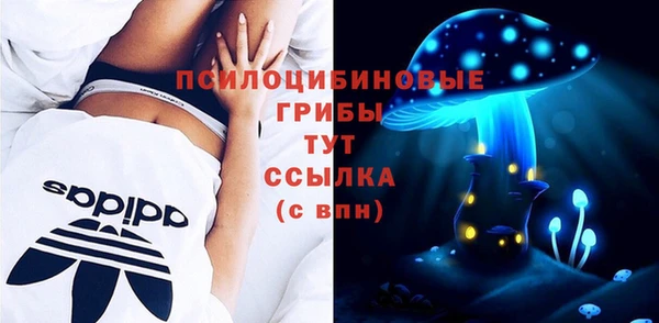 ПСИЛОЦИБИНОВЫЕ ГРИБЫ Арсеньев