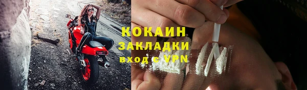 ПСИЛОЦИБИНОВЫЕ ГРИБЫ Арсеньев