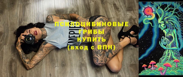 прущая мука Аркадак