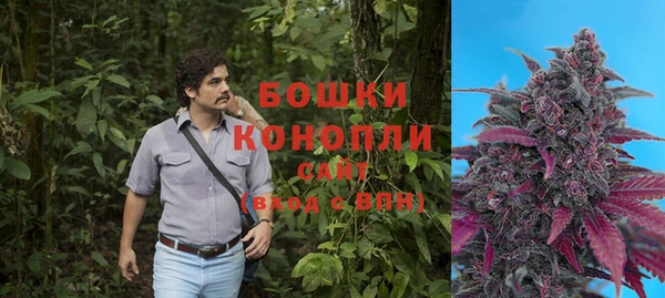 кокс Алзамай
