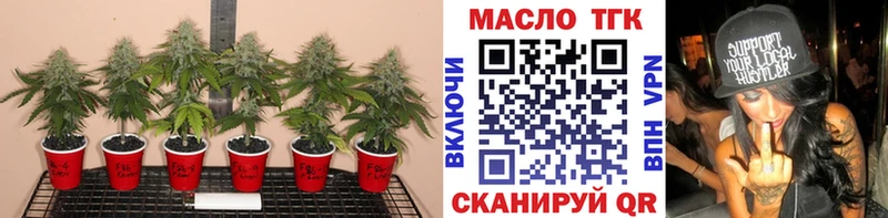 ТГК Wax  Тольятти 