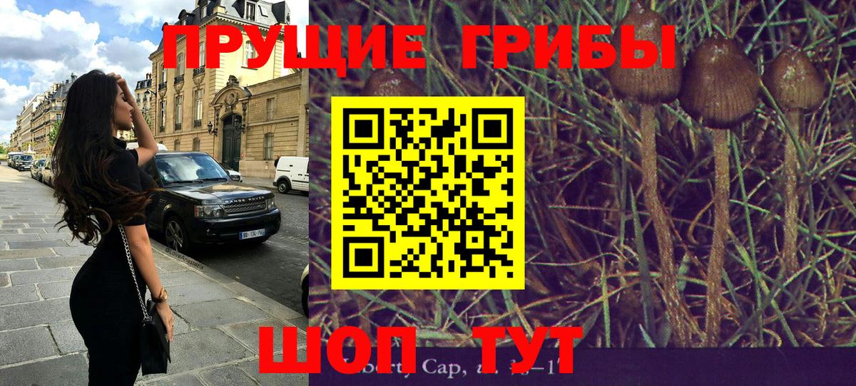 Галлюциногенные грибы MAGIC MUSHROOMS Тольятти